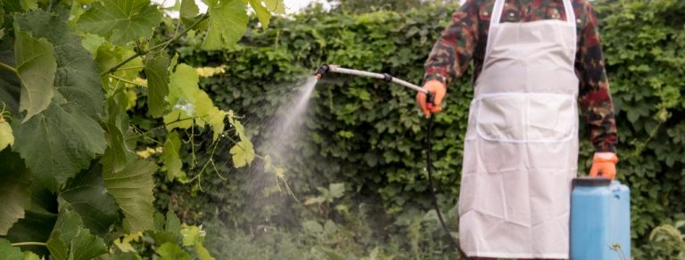 Jury Orders Monsanto to Pay Over $2 Billion to California Couple