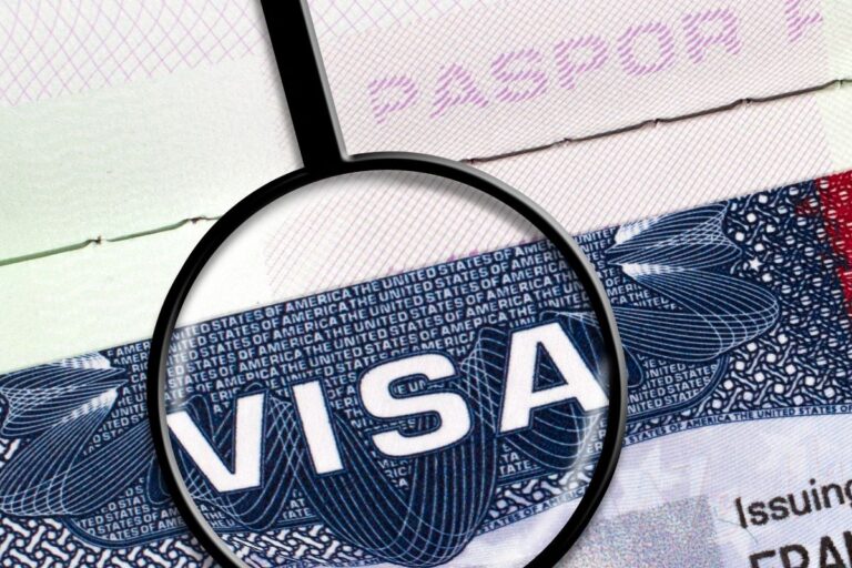E-1与L-1签证差异剖析，为您量身定制最佳签证方案